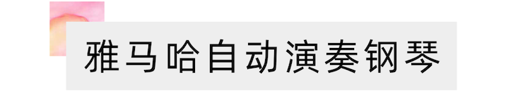 活动报道 | 远程艺术教育大师课活动—新宝GG教育家崔岚大师课